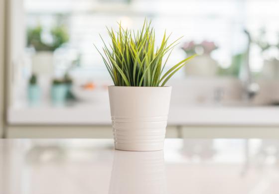 Primavera in cucina